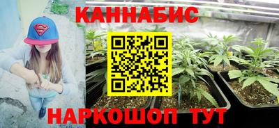 стафф Владимир