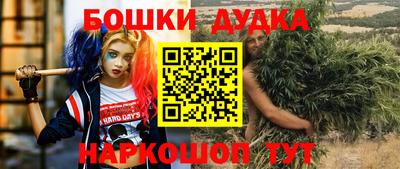 стафф Владимир