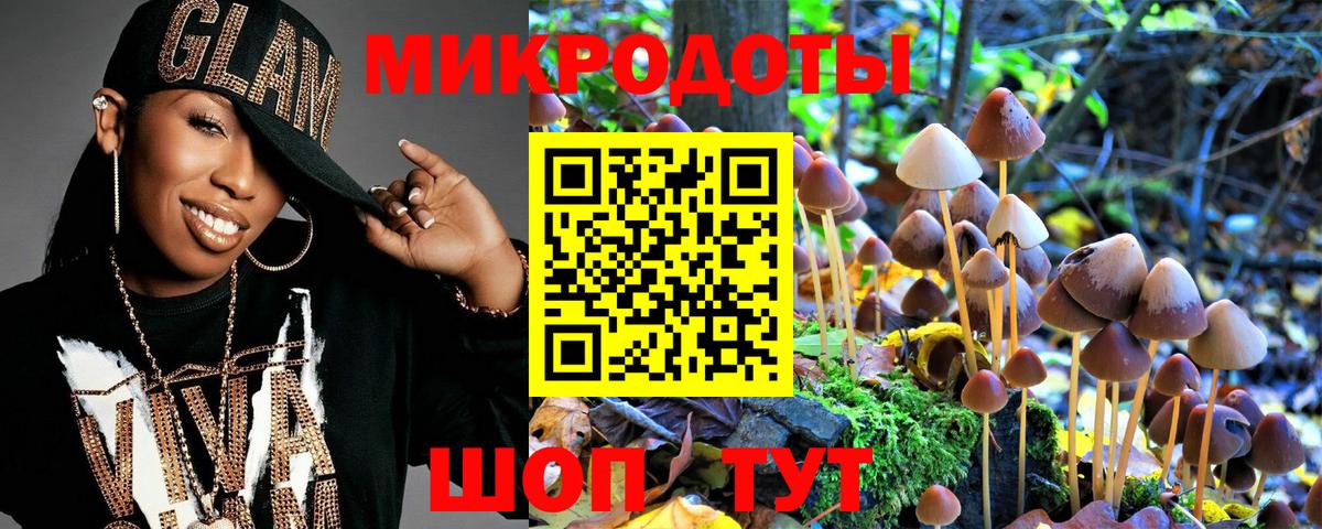 Галлюциногенные грибы Psilocybine cubensis Качканар